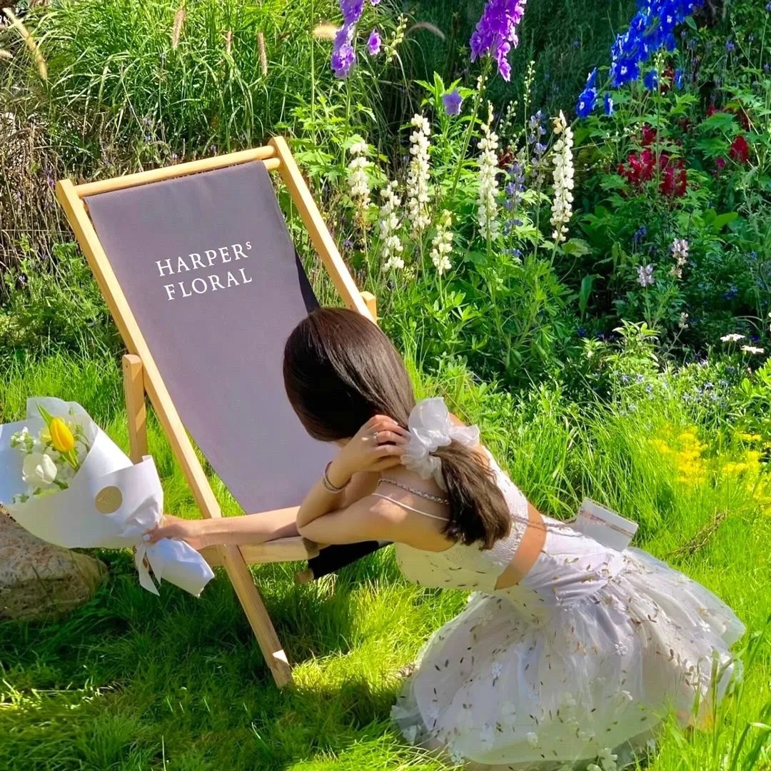 灾难大电影